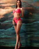 Анкета проститутки Николь - метро Тверской, возраст - 27